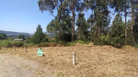 Terreno  Venda em Argela,Caminha