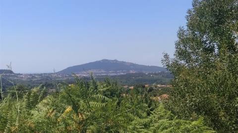 Terreno  Venda em Argela,Caminha