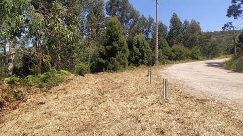 Terreno  Venda em Argela,Caminha