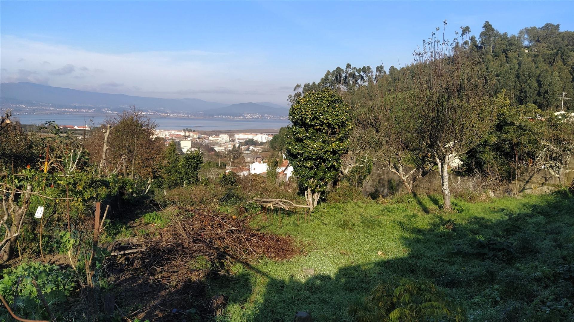 Terreno Para Construção  Venda em Caminha (Matriz) e Vilarelho,Caminha