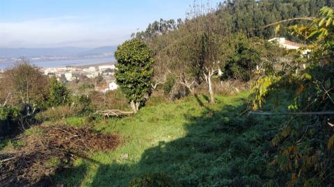 Terreno Para Construção  Venda em Caminha (Matriz) e Vilarelho,Caminha