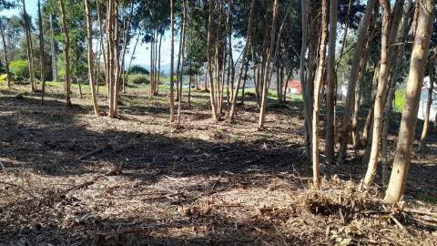 Terreno  Venda em Vilar de Mouros,Caminha