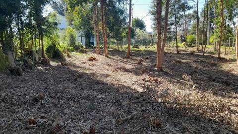 Terreno  Venda em Vilar de Mouros,Caminha