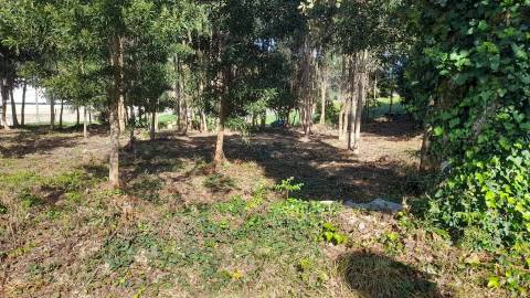 Terreno  Venda em Vilar de Mouros,Caminha