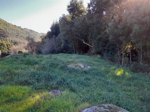 Terreno  Venda em Moledo e Cristelo,Caminha
