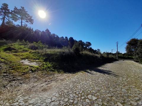 Terreno  Venda em Moledo e Cristelo,Caminha