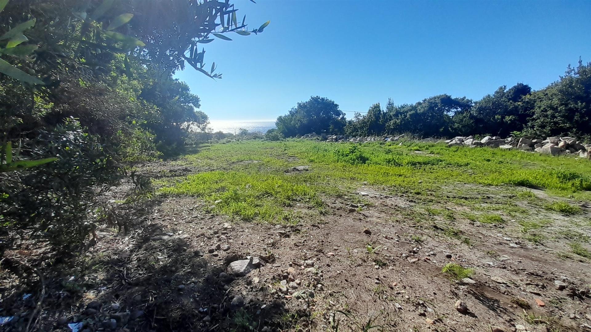 Terreno Para Construção  Venda em Moledo e Cristelo,Caminha