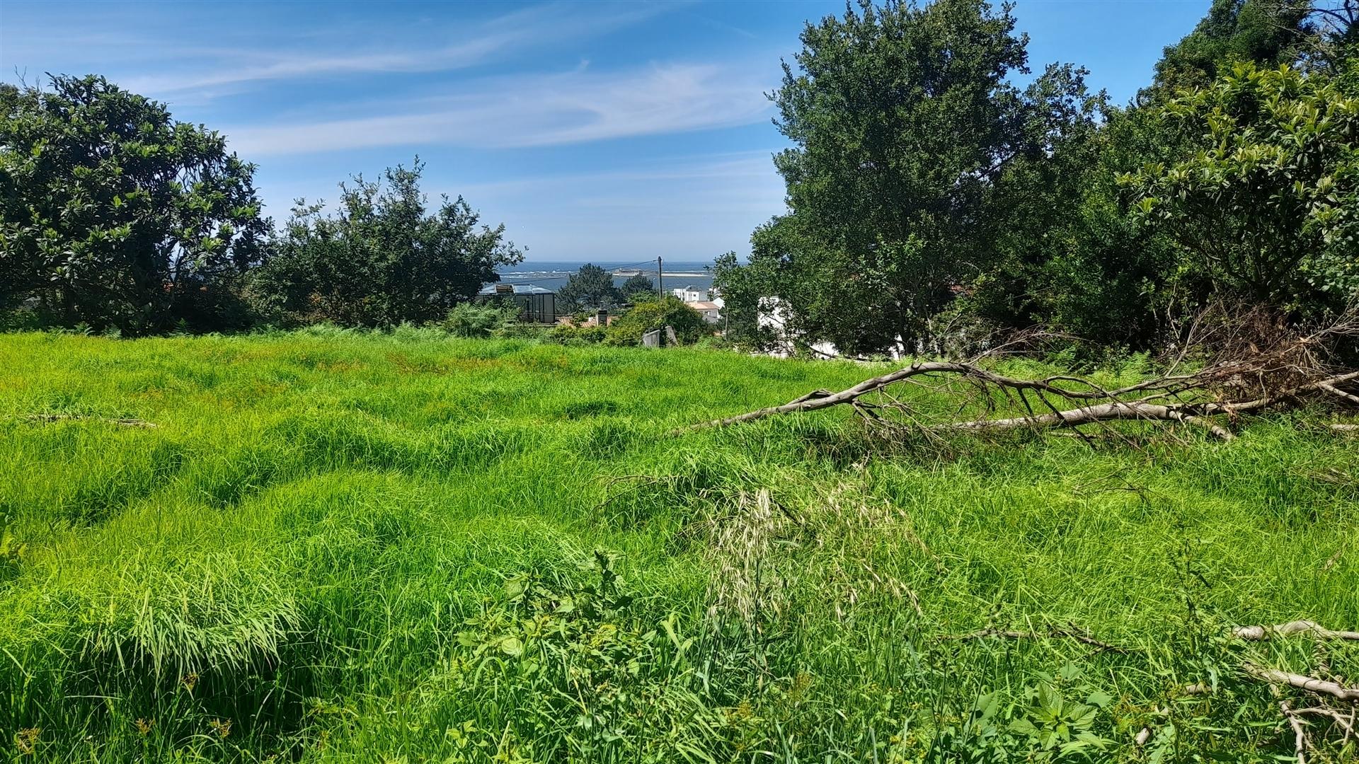 Terreno Para Construção  Venda em Moledo e Cristelo,Caminha