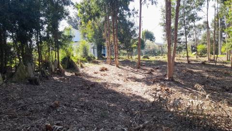 Terreno  Venda em Vilar de Mouros,Caminha