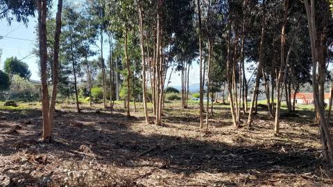 Terreno  Venda em Vilar de Mouros,Caminha