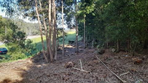 Terreno  Venda em Vilar de Mouros,Caminha