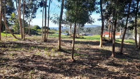 Terreno  Venda em Vilar de Mouros,Caminha