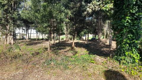 Terreno  Venda em Vilar de Mouros,Caminha