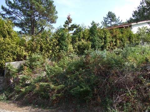 Terreno Urbano  Venda em Moledo e Cristelo,Caminha