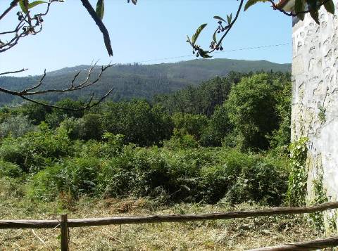 Quinta  Venda em Freixieiro de Soutelo,Viana do Castelo