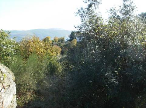 Terreno  Venda em Caminha (Matriz) e Vilarelho,Caminha