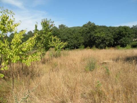 Quinta T0 Venda em Agualonga,Paredes de Coura