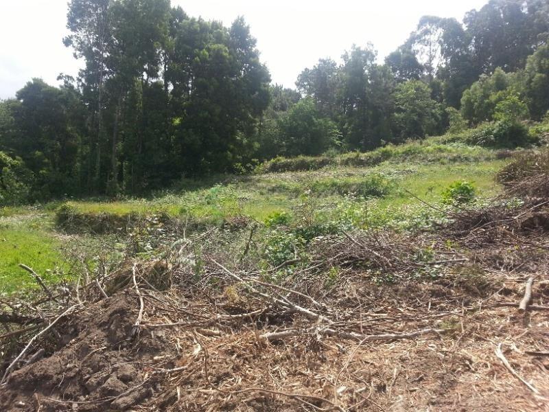 Loteamento  Venda em Moledo e Cristelo,Caminha