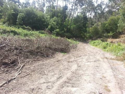 Loteamento  Venda em Moledo e Cristelo,Caminha