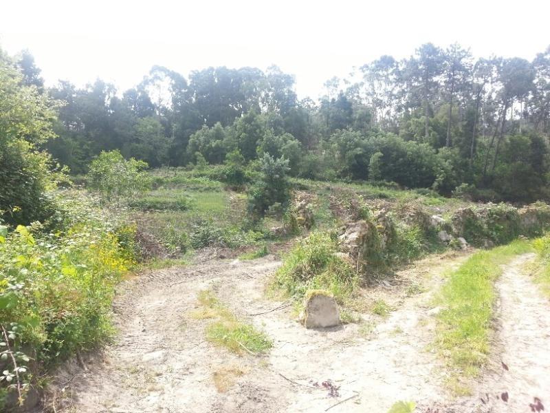 Loteamento  Venda em Moledo e Cristelo,Caminha