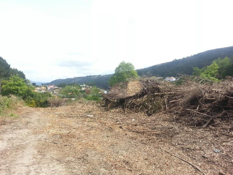 Loteamento  Venda em Moledo e Cristelo,Caminha