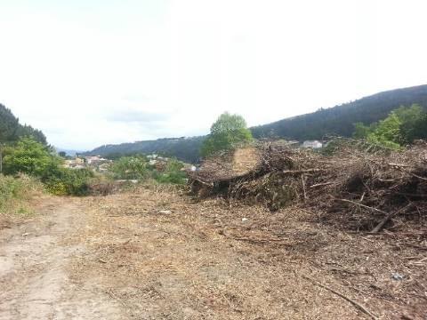 Loteamento  Venda em Moledo e Cristelo,Caminha