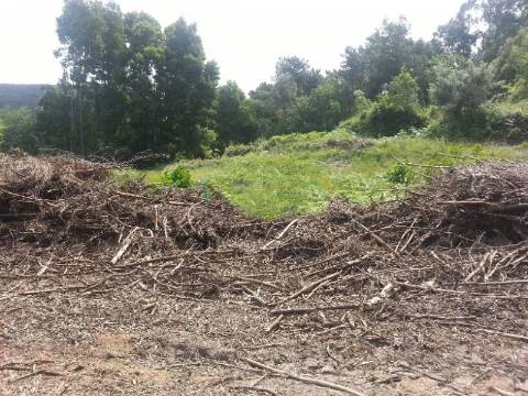 Loteamento  Venda em Moledo e Cristelo,Caminha