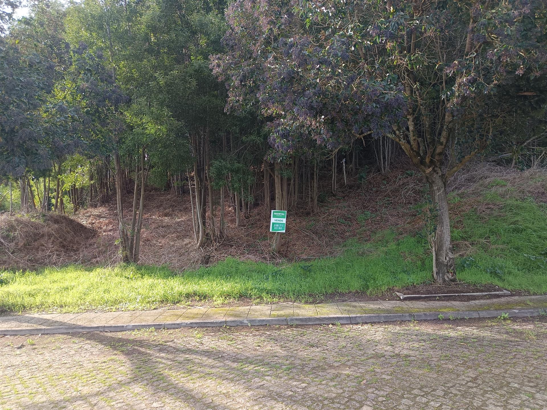 Loteamento  Venda em Venade e Azevedo,Caminha