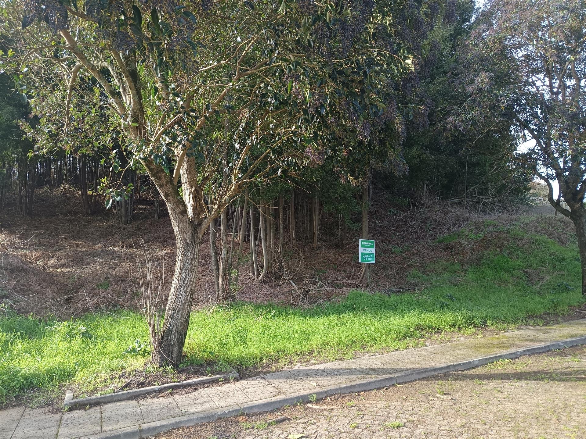 Loteamento  Venda em Venade e Azevedo,Caminha