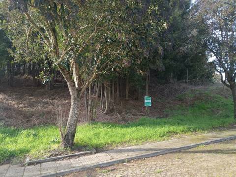 Loteamento  Venda em Venade e Azevedo,Caminha