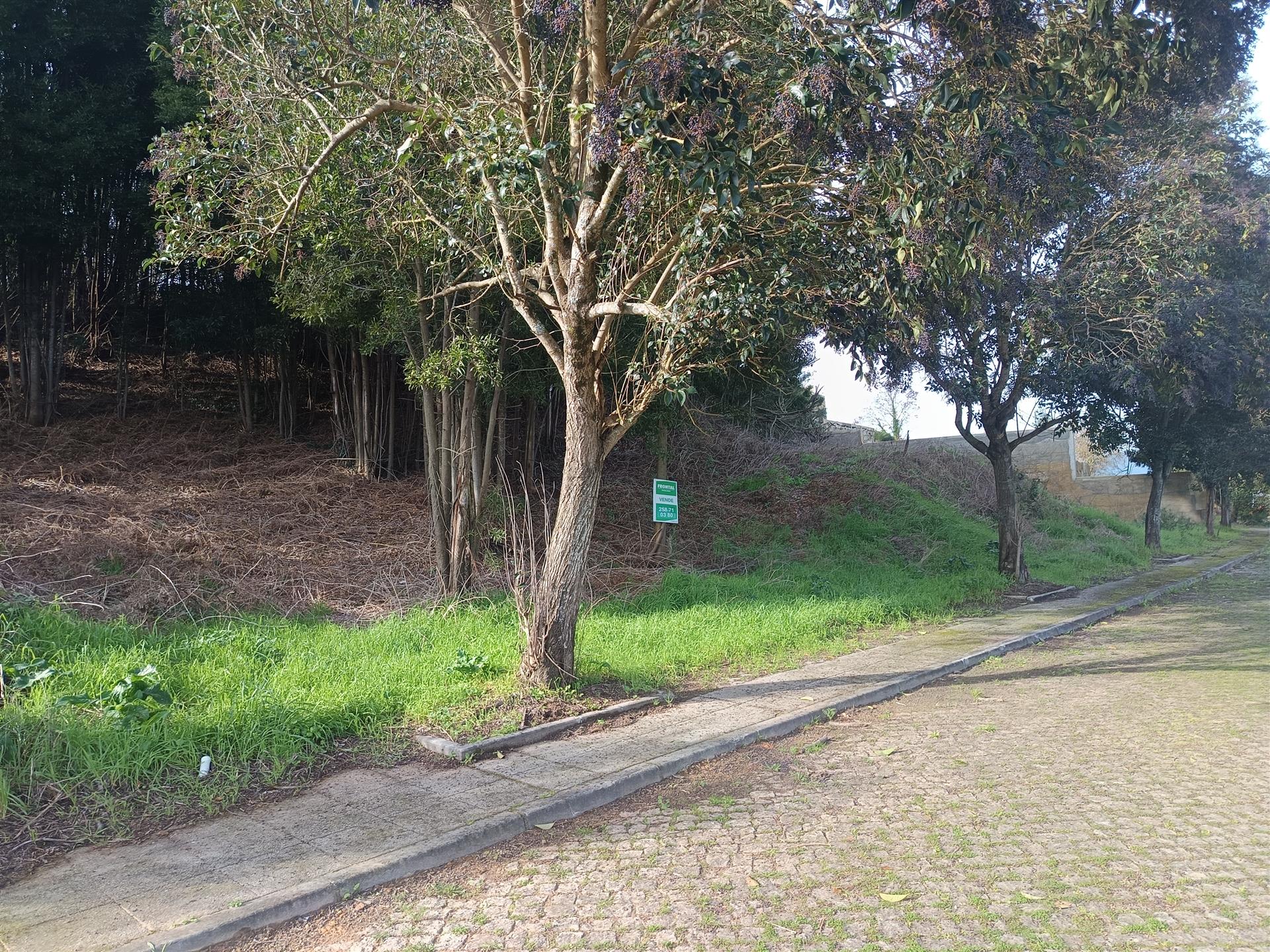 Loteamento  Venda em Venade e Azevedo,Caminha
