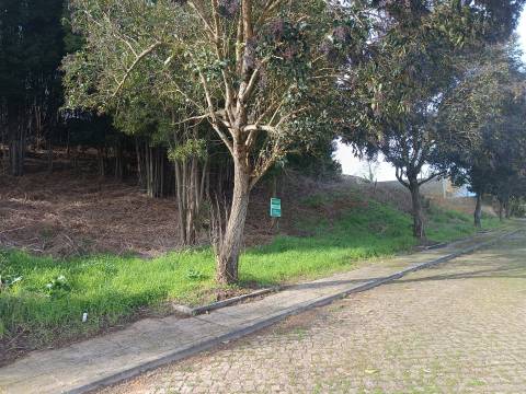 Loteamento  Venda em Venade e Azevedo,Caminha