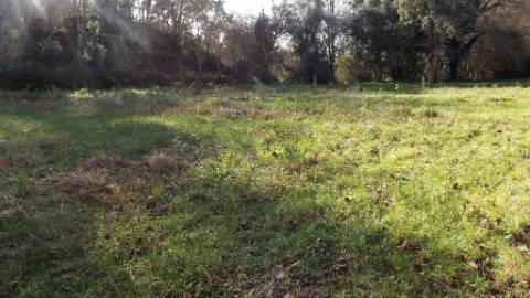 Terreno Urbano  Venda em Seixas,Caminha