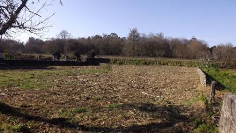 Terreno Urbano  Venda em Seixas,Caminha