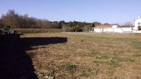 Terreno Urbano  Venda em Seixas,Caminha