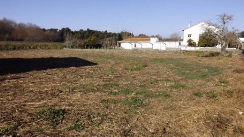 Terreno Urbano  Venda em Seixas,Caminha