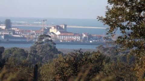 Terreno Urbano  Venda em Seixas,Caminha