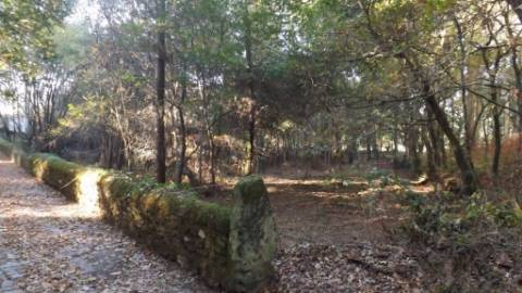 Terreno Urbano  Venda em Seixas,Caminha