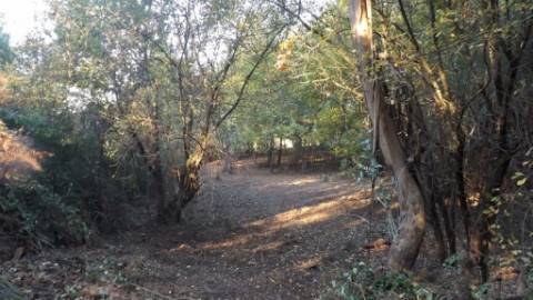 Terreno Urbano  Venda em Seixas,Caminha