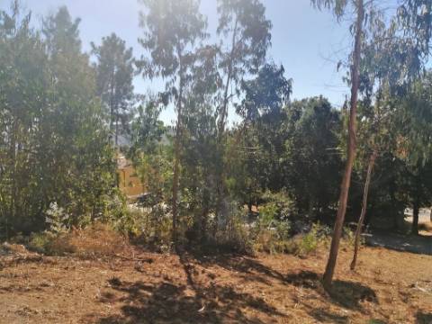 Terreno Urbano  Venda em Seixas,Caminha