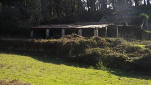 Quinta T4 Venda em Covas,Vila Nova de Cerveira