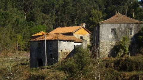Quinta T4 Venda em Covas,Vila Nova de Cerveira