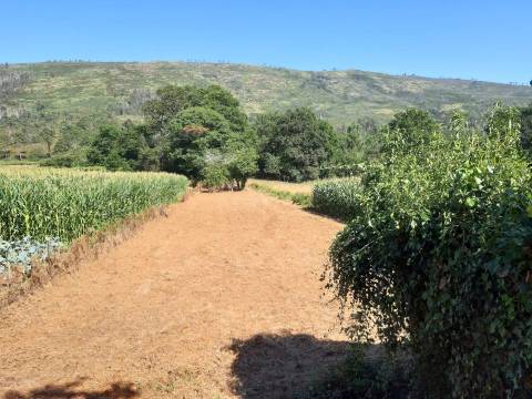 Terreno  Venda em Venade e Azevedo,Caminha