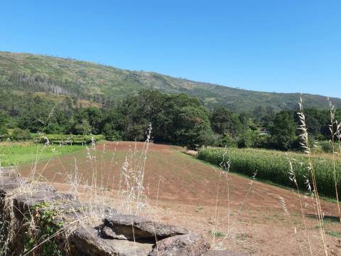 Terreno  Venda em Venade e Azevedo,Caminha