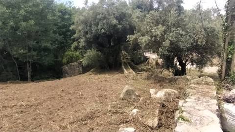 Propriedade Riba d´Âncora