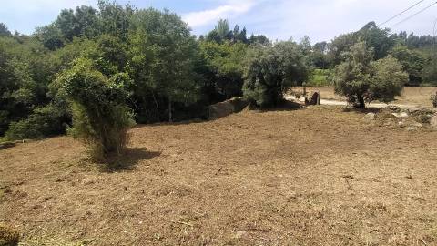 Propriedade Riba d´Âncora