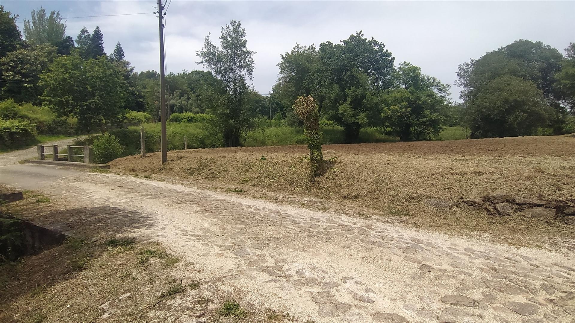 Terreno  Venda em Riba de Âncora,Caminha