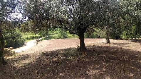 Terreno  Venda em Riba de Âncora,Caminha