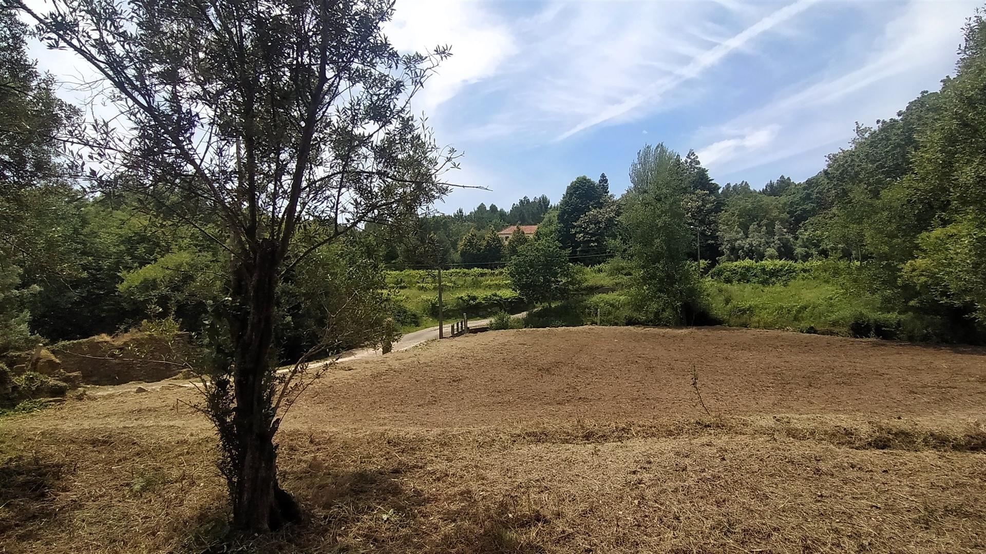Terreno  Venda em Riba de Âncora,Caminha