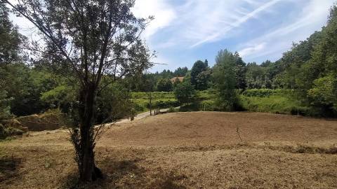 Terreno  Venda em Riba de Âncora,Caminha